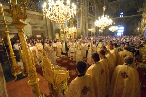 „Biserica este chemată, mai mult decât oricând, într-o lume atât de bolnavă, să aducă vindecare şi mângâiere“ Poza 70978