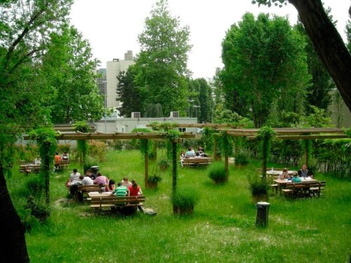 Oferte culturale pe timp de vară în București Poza 70565