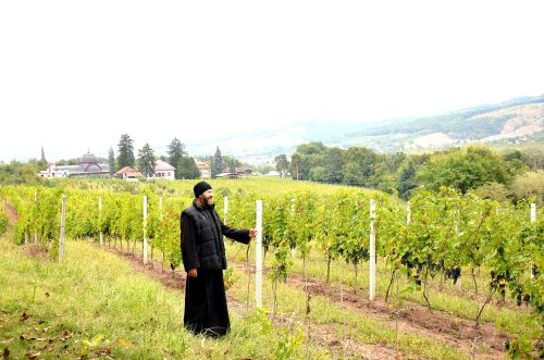 Timpul sacru al vinului la Mănăstirea Jercălăi Poza 68908