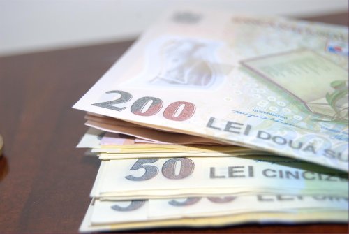 Leul va continua să fie stabil în raport cu euro Poza 66967