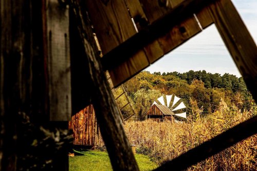 Record de vizitatori în muzee din Transilvania Poza 66929