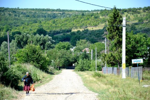 Băbușa, o lume a miniaturalului Poza 66831