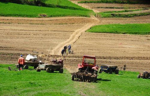 Priorităţile Ministerului Agriculturii în 2016 Poza 66657