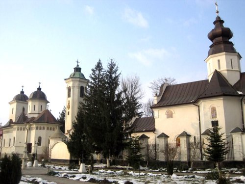 Tundere în monahism la Mănăstirea Hodoş-Bodrog Poza 66377