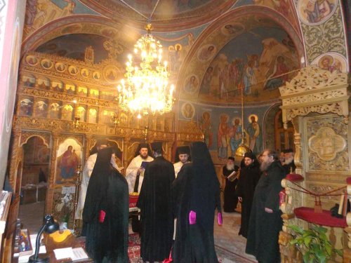 Tundere în monahism la Mănăstirea Hodoş-Bodrog Poza 66380