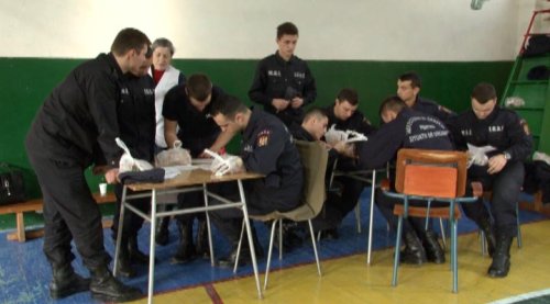 Elevii Şcolii de subofiţeri din Boldeşti au donat sânge Poza 65609