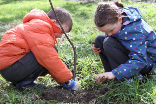 Educația,  o strădanie sfințitoare pentru părinți și copii  Poza 64901