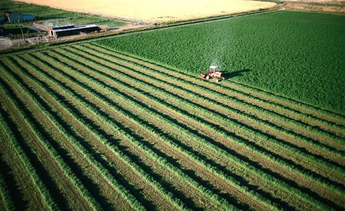 Cererea unică de plată pentru agricultură Poza 64045