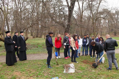 Tineri din Sibiu au plantat copaci în Parcul Sub Arini Poza 63636