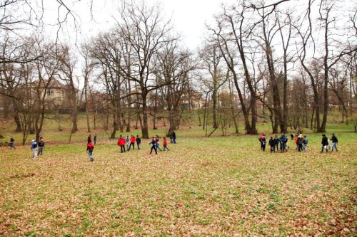 Activităţi de ecologizare la Sibiu Poza 62572