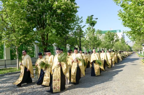 Rugăciune adusă lui Dumnezeu cu stâlpări și ramuri verzi Poza 61230