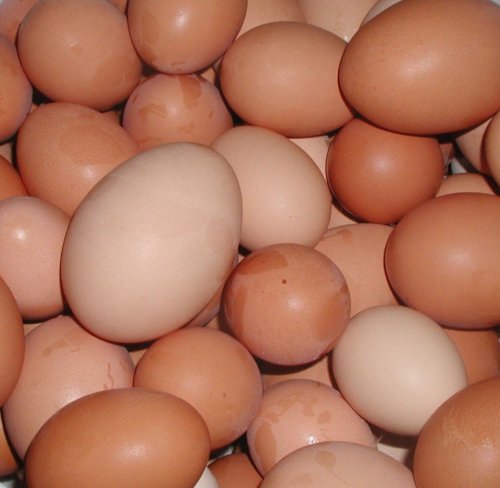 Ouăle sunt mai ieftine cu 10% la poarta fermei Poza 60942