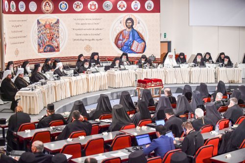 Ultimul document de pe ordinea de zi, în dezbatere