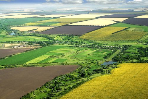 Terenurile agricole vor fi intabulate urgent şi gratuit Poza 57194