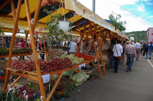 Primăria Capitalei va deschide o mare piață agroalimentară Poza 53795