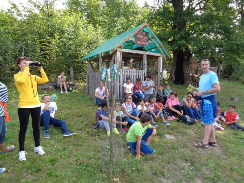 Tabere pentru copii din judeţele Alba şi Sibiu Poza 53257