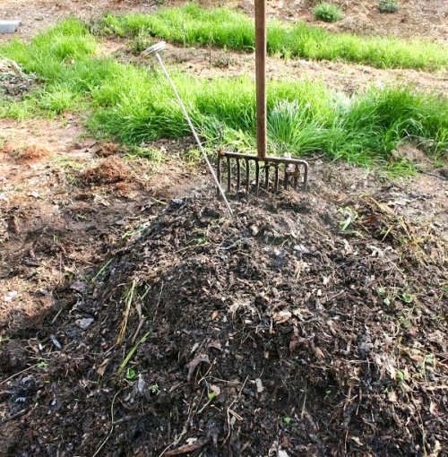 Transformarea frunzelor uscate în compost Poza 52424