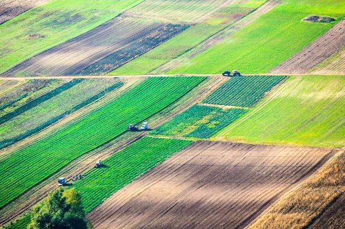 Studiu privind structura terenurilor agricole din ţară Poza 46189