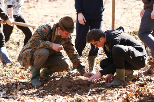 Liceeni din Sibiu au plantat copaci la Marpod Poza 42554