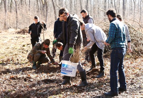 Liceeni din Sibiu au plantat copaci la Marpod Poza 42557