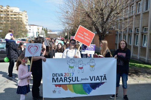 Mii de participanți la „Marșul pentru viață” Poza 42308