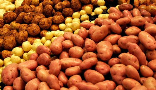 România, al şaptelea producător de cartofi din UE Poza 41921