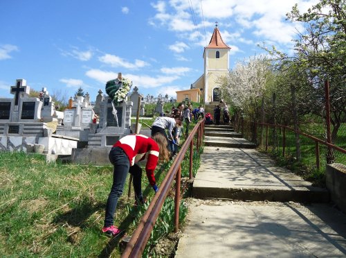 Elevii din Păuca, județul Sibiu, au curățat cimitirul parohial Poza 41602
