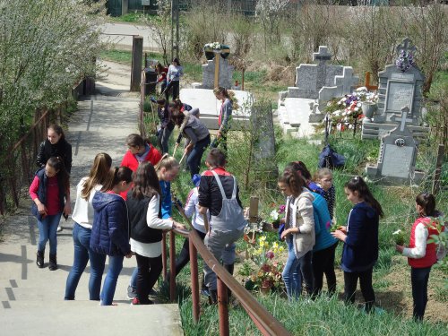Elevii din Păuca, județul Sibiu, au curățat cimitirul parohial Poza 41604