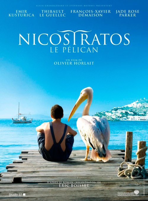 Un film despre copii și animale: „Pelicanul Nicostratos” Poza 41517