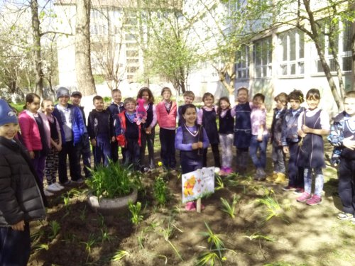 Grădina şcolarilor de la Liceul Ortodox Oradea Poza 41248