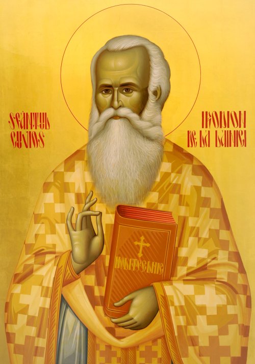 „Sfinte Părinte Irodion, roagă-te pentru noi lui Hristos!” Poza 40151