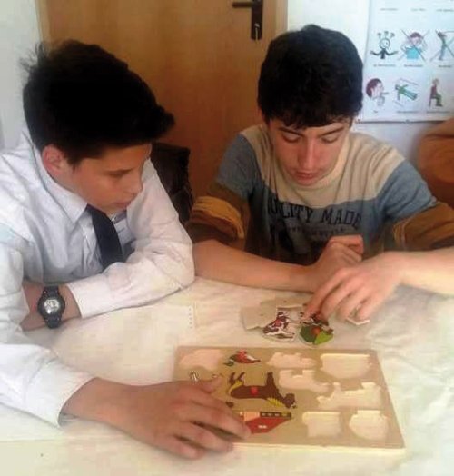 Elevi de la Liceul Ortodox Oradea în sprijinul bolnavilor de autism Poza 37616