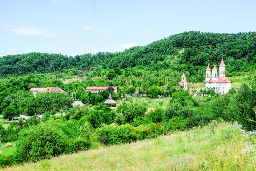 Mănăstirea Strâmba, loc al slujirii sociale responsabile Poza 33529