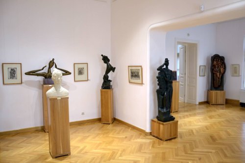 Muzeul „Ion Irimescu” de la Fălticeni,  un tezaur național Poza 30284
