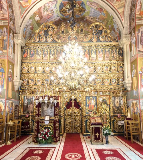 Patrimoniul pictural din biserica mare a Mănăstirii Putna Poza 25444