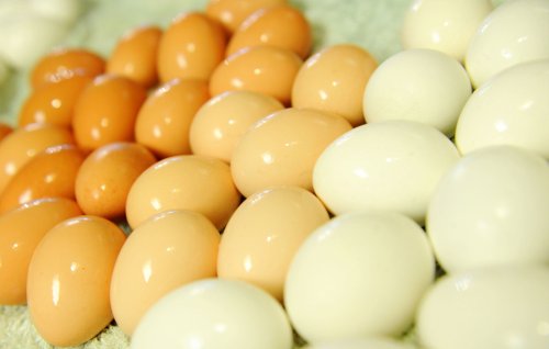 Cum alegem ouăle, vopseaua, carnea de miel şi cozonacul Poza 20786