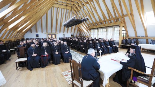 Conferinţă preoţească la Mănăstirea Bârsana, Maramureş Poza 18586