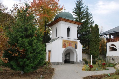 Mănăstirea Ostrov, mărturie vie pe malurile Oltului Poza 17323