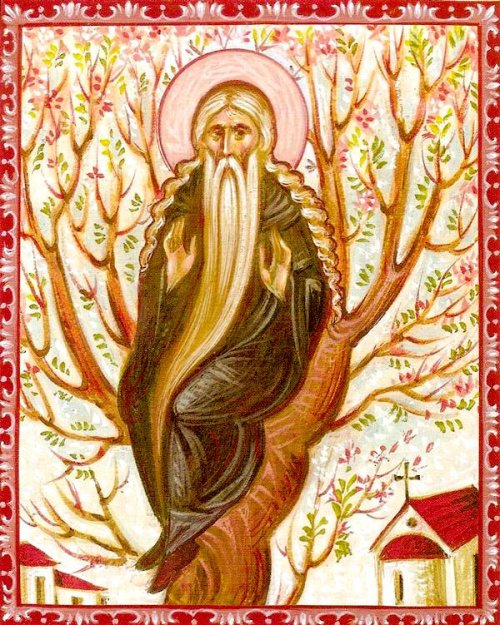 Sfântul Cuvios David din Tesalonic; Sfântul Ierarh Ioan, Episcopul Goţiei Poza 15920