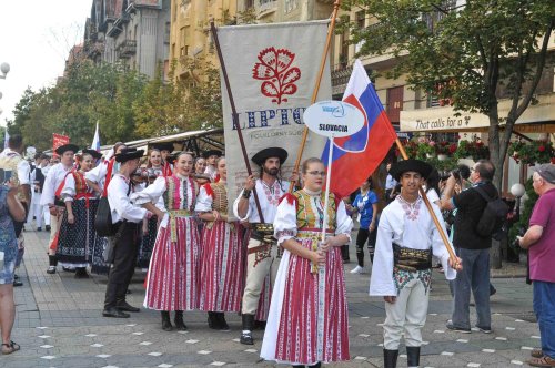 Festivalul Inimilor la Timișoara Poza 14987