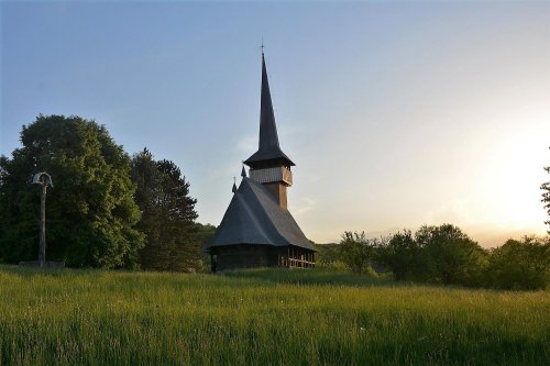 Muzeele clujene, atractive pentru turiști Poza 14981