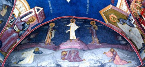 Teologia „tunicilor de piele” în antropologia ortodoxă Poza 13095