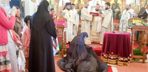 Tundere în monahism la Mănăstirea Poiana Mărului  Poza 12934