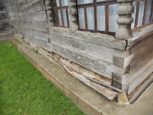 „Densușul” de lemn de pe Albia Pârveștilor Poza 12478