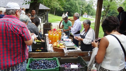 Sărbătoarea Recoltei la Muzeul ASTRA, Dumbrava Sibiului Poza 9706