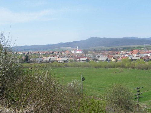 Contribuția comunei Țânțari la Marea Unire Poza 8092