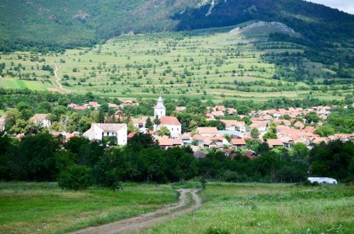 Satul românesc se reinventează la condițiile istorice Poza 2761