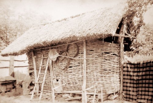 Satul tradițional „așa cum a fost și nu va mai fi” Poza 1365
