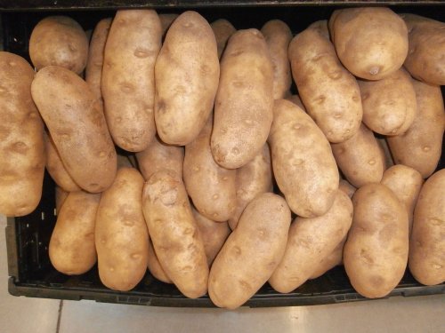 Cartofii româneşti, puţini şi scumpi Poza 1320