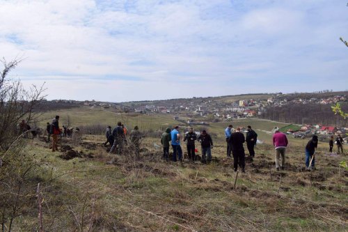 Preoţi din Protopopiatul 2 Iaşi au plantat 1.400 de copaci în comuna Bârnova Poza 113435
